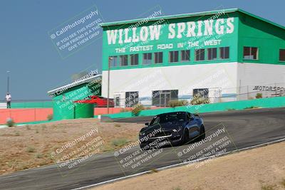 media/May-07-2022-Cobra Owners Club of America (Sat) [[e681d2ddb7]]/Yellow/Session 1 (Turn 4)/